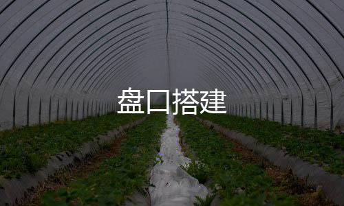 盘口搭建-熊猫互娱-zunyueyuanma.com