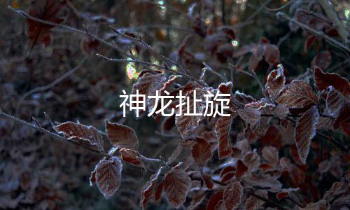 神龙扯旋-抖阴直播源码-zunyueyuanma.com