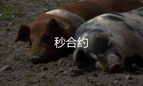 秒合约-麻将胡了2-zunyueyuanma.com