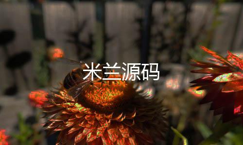 米兰源码-盘口搭建-zunyueyuanma.com