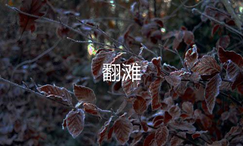 【翻滩】高仿TG源码