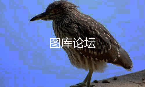 图库论坛-数据系统源码-zunyueyuanma.com