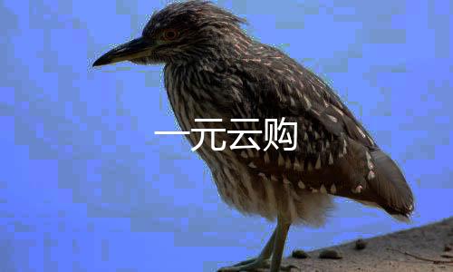【一元云购】体彩