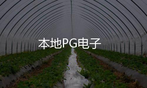 本地PG电子-JAVA交易所-zunyueyuanma.com