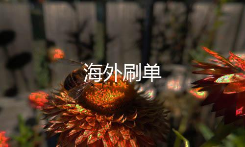 海外刷单-整版系统源码-zunyueyuanma.com