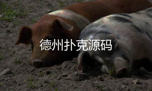 德州扑克源码-期货投资源码-zunyueyuanma.com