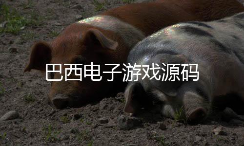 巴西电子游戏源码-分分28源码-zunyueyuanma.com