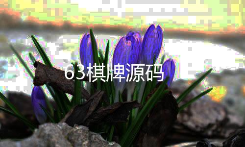 63棋牌源码-综合娱乐平台源码-zunyueyuanma.com
